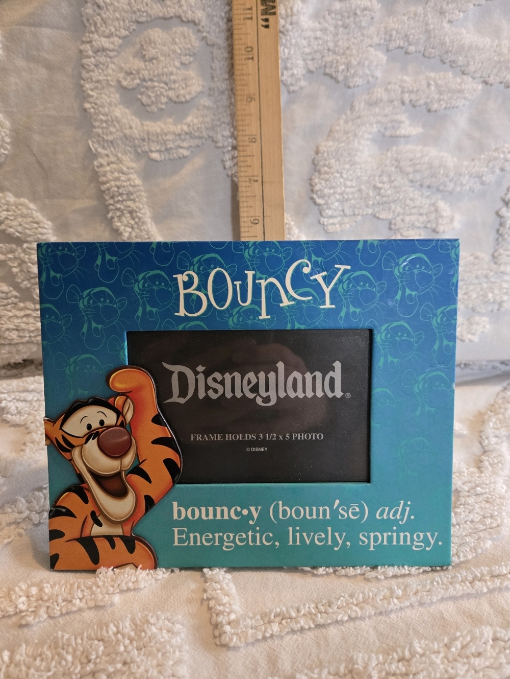 Disneyland Disney Teal & Blue Tigger Bouncy Picture Frame Holds 3 1/2 x 5 Photo - Picture 1 of 9